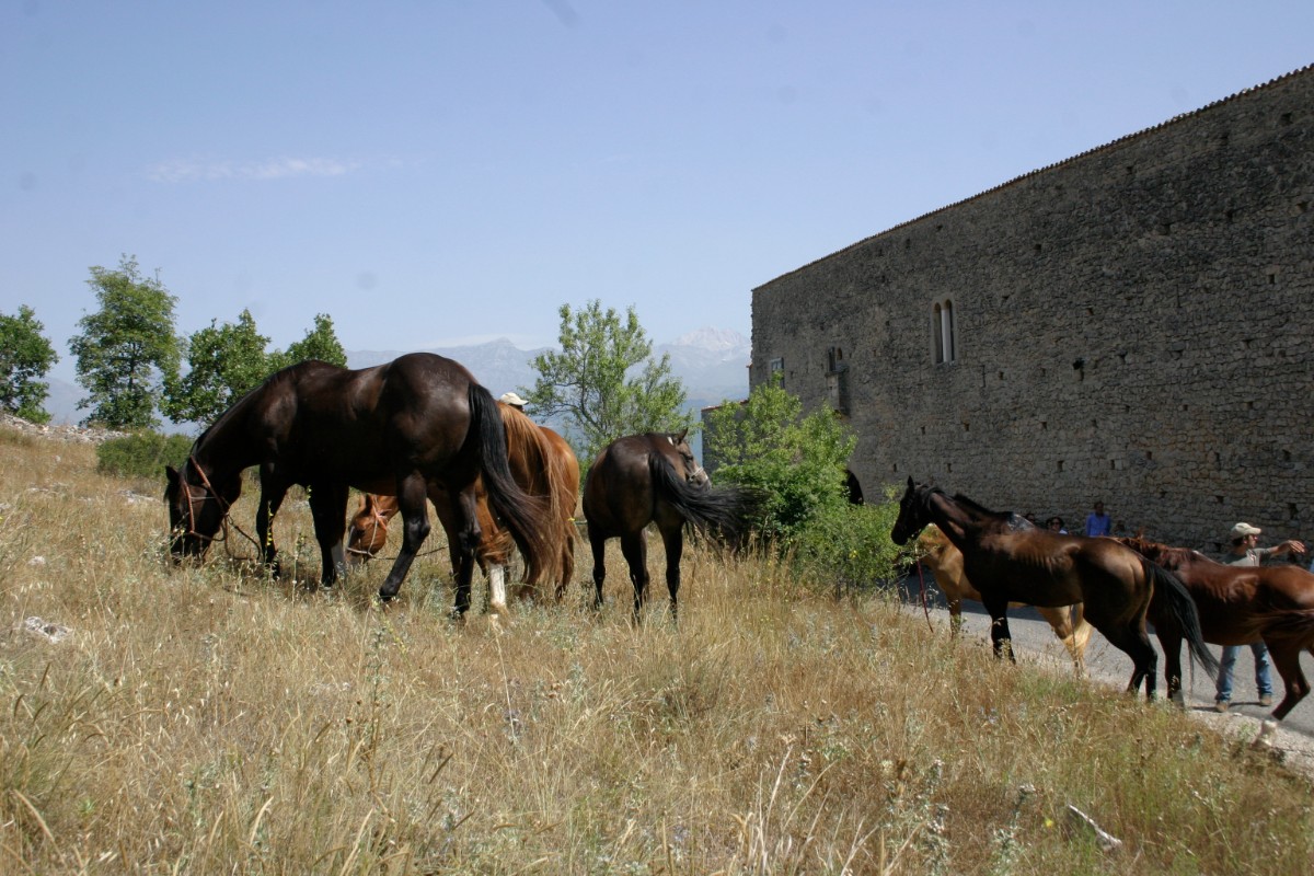 dintorni-cavalli-monastero